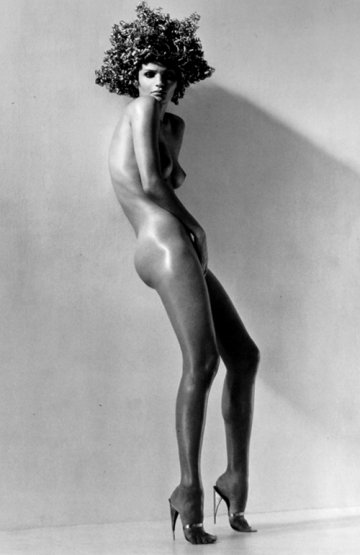 Herb Ritts : Etoile filante de la photographie