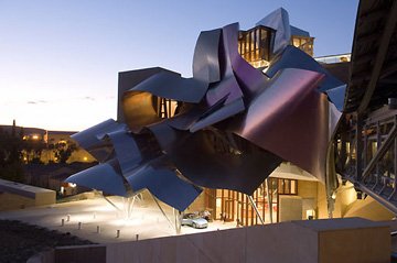 Frank Gehry : The magician