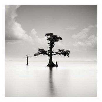 Two Cypresses - Louisiana, USA