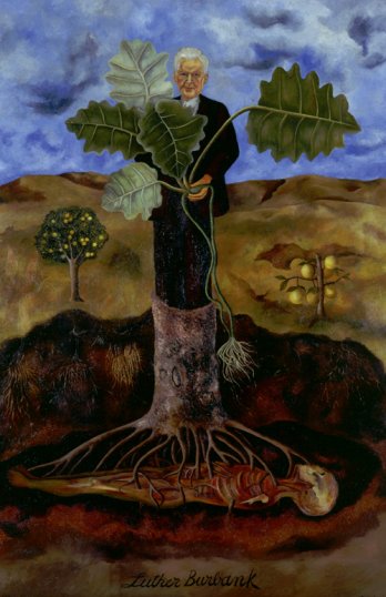 Frida Kahlo/Retrato de Luther Burbank (Portrait of Luther Burbank), 1932_Coleccin Museo Dolores Olmedo, Xochimilco, Mxico