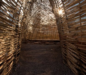 Bug Dome_WEAK_Marco Casagrande