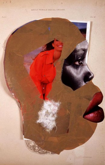 Wangechi Mutu_Female sexual organs, 2005