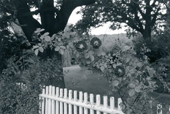 Lee Friedlander - Pomona, New York, 1977