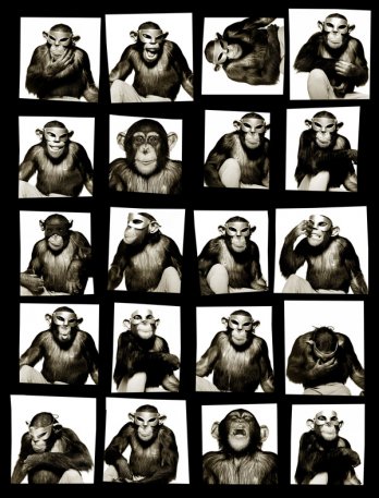 Albert Watson_Monkey with masks, 1994