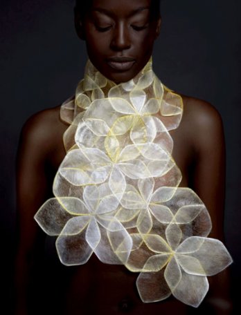 Elsbeth Joy Nielsen_ A Silk story_Lisa Klappe
