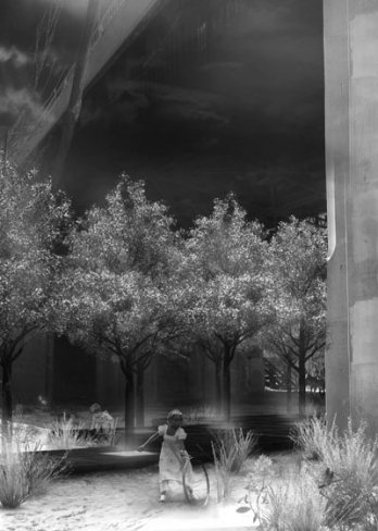 Cities and the Dead 6: ghost orchards