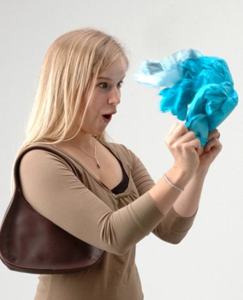 Hetal Jariwala and Eva Bauer_Bag Pop