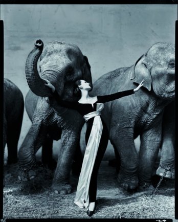 Richard Avedon_Dovima et les lphants_Robe du soir de Dior, Cirque d'Hiver, Paris, 1955_ 2008 the Richard Avedon Foundation