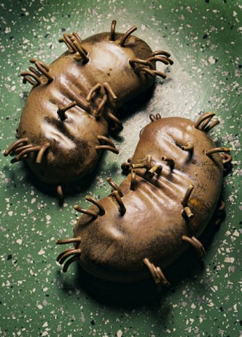 Objects_Marten Medbo, 2005_Stoneware_Patrick Johansson