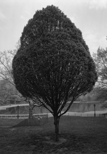 Geoffrey James_Bassin du jardin dhiver, en direction nord, Central Park, New York, 1994_ConservWater_CCA