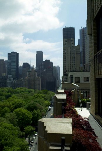 Donna Karan's Apartment in Manhattan_Richard Powers
