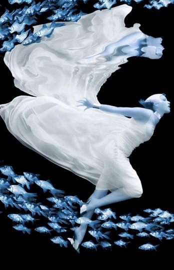 HOWARD SCHATZ : H2O/Atlantis 1