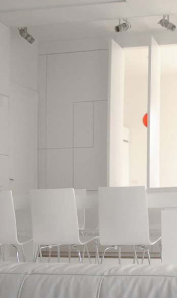 Parasite Studio/WHITE APARTMENT_Andrei Margulescu & Magazine Architectura