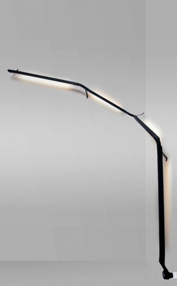 Joran BRIAND_Lampe grimpante, 2009_Marie Flores