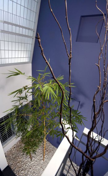 Lijo RENY Architect_Drs.Cijo Jos and Thushara Cijo Residence/LIJO RENY architects