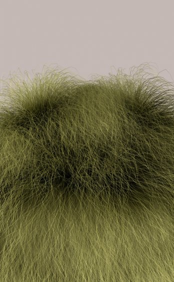 Michel Huelin, Grassbug 1, 2007_Galleria Biasutti & Biasutti_Piero Gilardi
