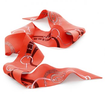 Twilly en soie de Hermès