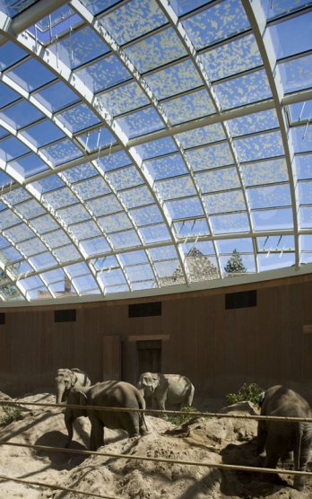 Elephant House, Copenhagen ZOO, Denmark, 2002-2008. _Richard Davies