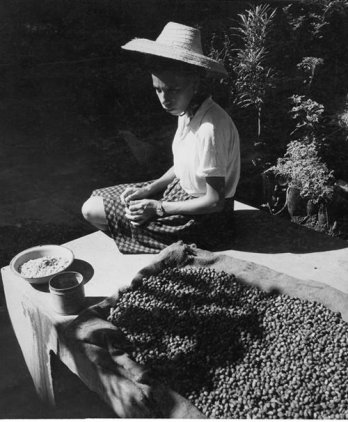 La femme au café, Guadeloupe_RMN